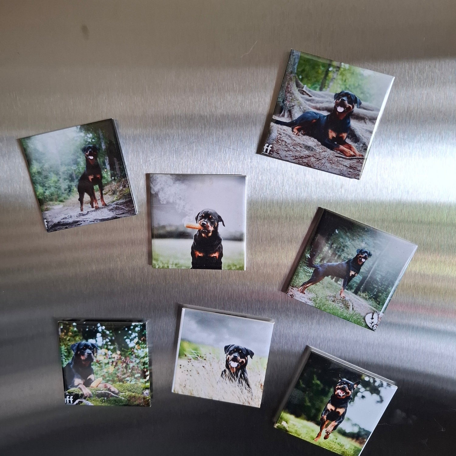 Foto magneten 5x5 stevig